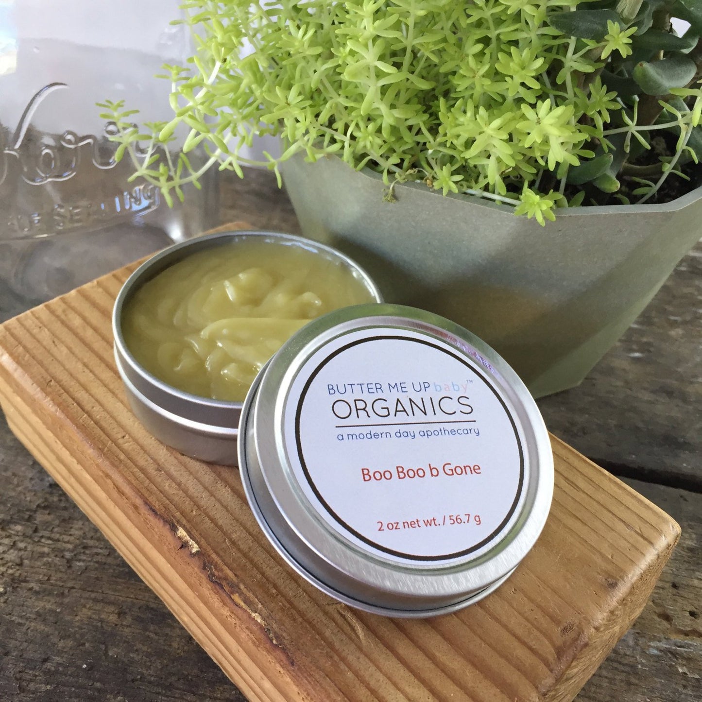 Boo Boo Be Gone – Herbal Healing Salve